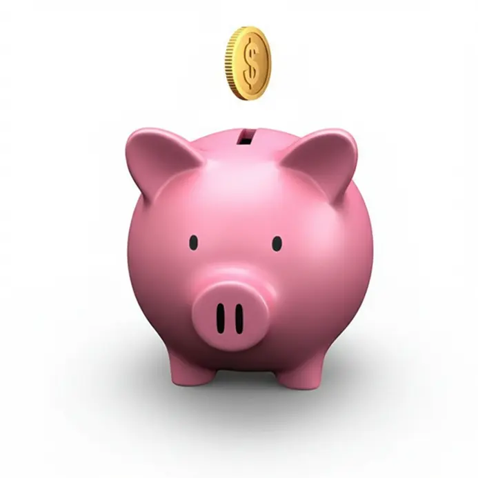 150_a-piggy-bank-with-coins-1745188038997