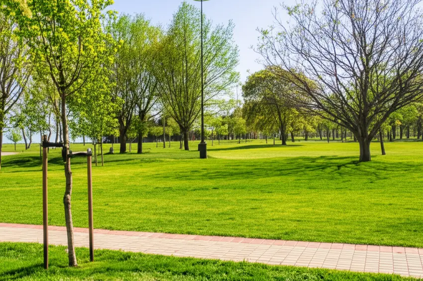 41_a-scenic-park-view-1745219130355